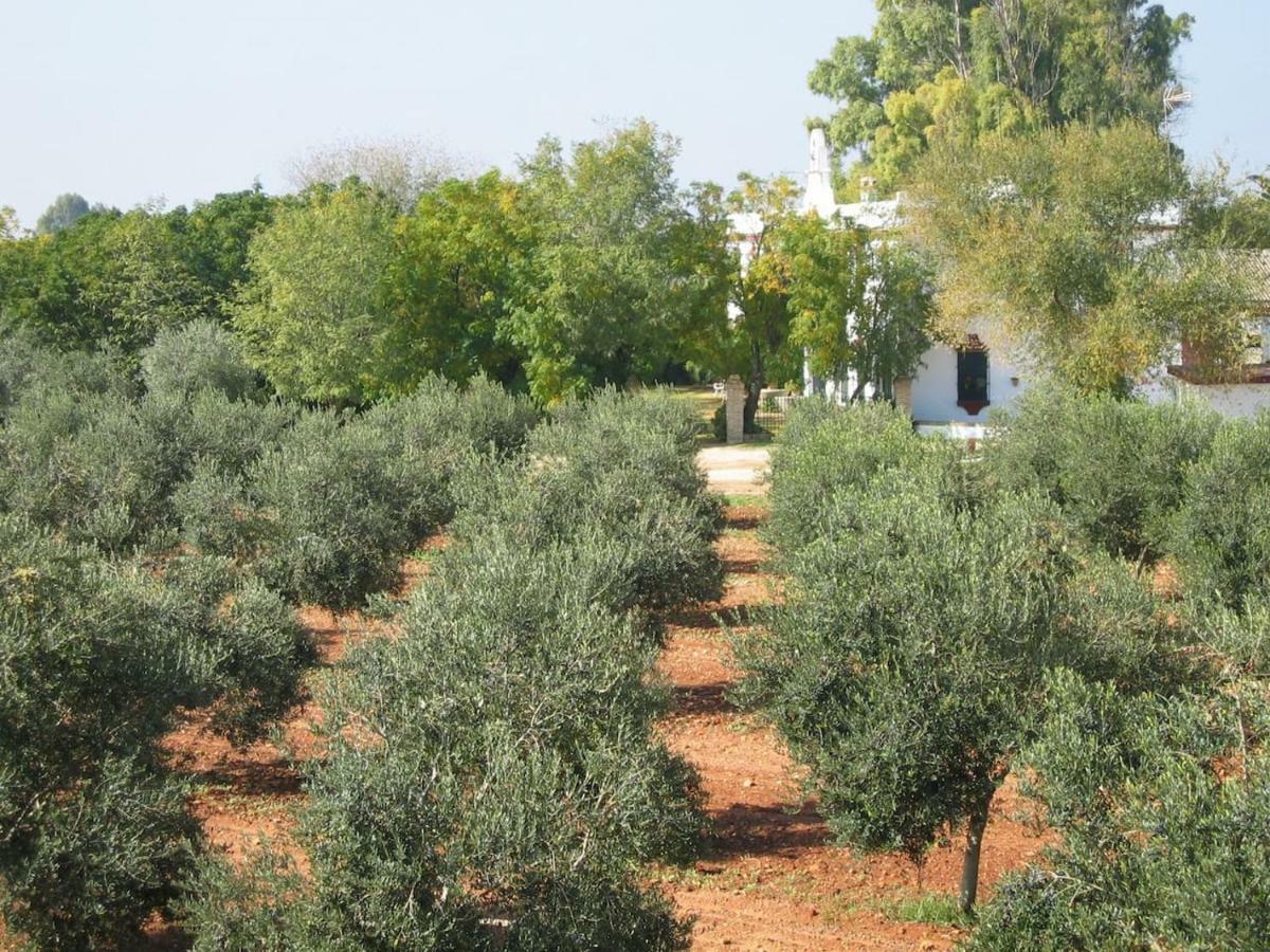 إيثيخا Hacienda Chambergo Casa En La Campina Sevillana المظهر الخارجي الصورة